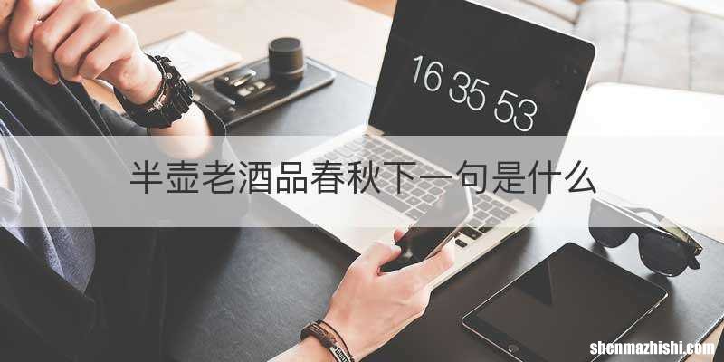 半壶老酒品春秋下一句是什么