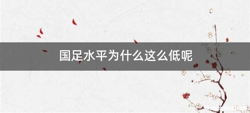 国足水平为什么这么低呢
