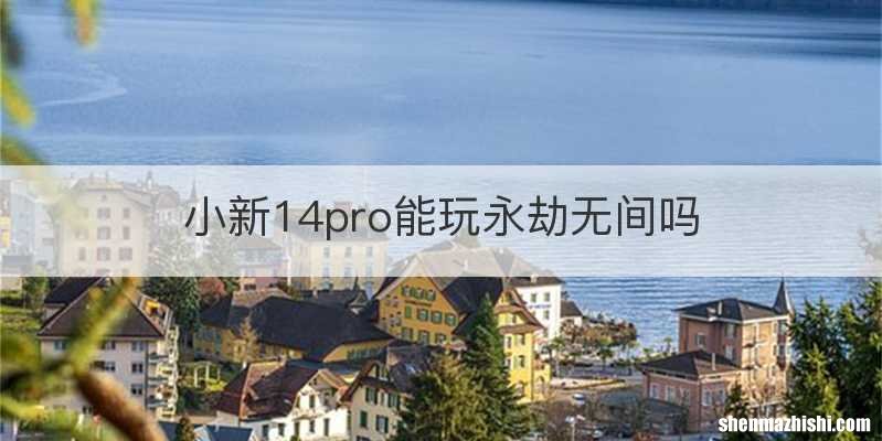 小新14pro能玩永劫无间吗
