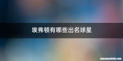 埃弗顿有哪些出名球星