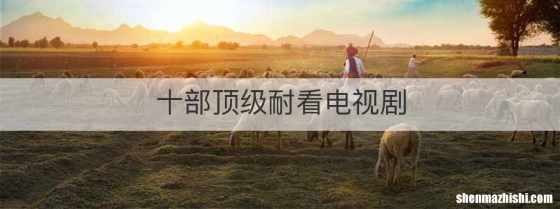 十部顶级耐看电视剧