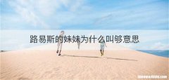 路易斯的妹妹为什么叫够意思