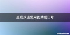 曼联球迷常用的助威口号