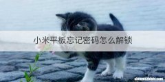 小米平板忘记密码怎么解锁