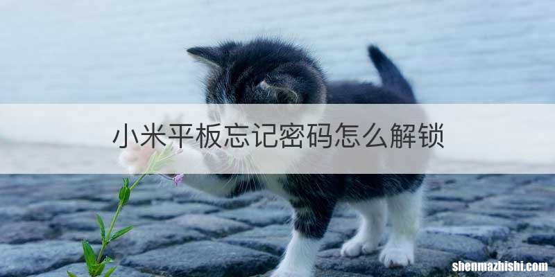 小米平板忘记密码怎么解锁