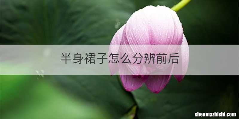 半身裙子怎么分辨前后