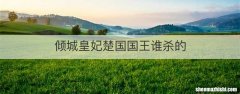 倾城皇妃楚国国王谁杀的