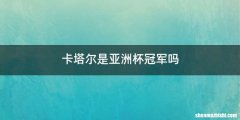 卡塔尔是亚洲杯冠军吗