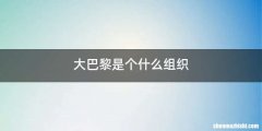 大巴黎是个什么组织