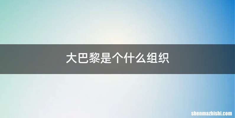 大巴黎是个什么组织