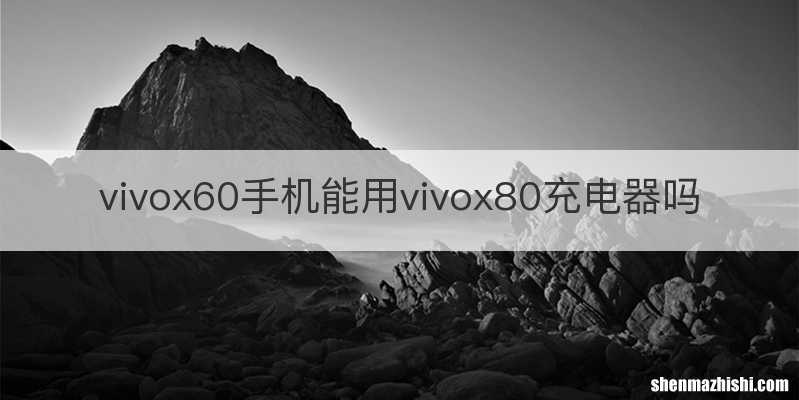 vivox60手机能用vivox80充电器吗