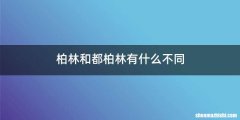 柏林和都柏林有什么不同