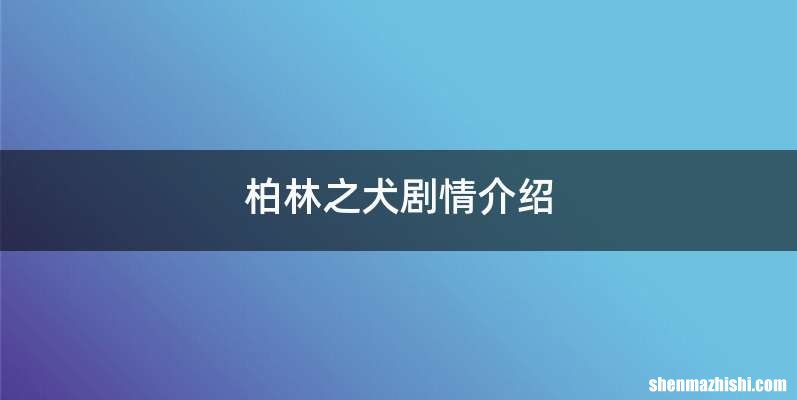 柏林之犬剧情介绍