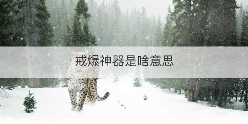戒爆神器是啥意思