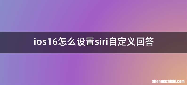 ios16怎么设置siri自定义回答
