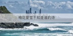 梅花爱雪不知是谁的诗