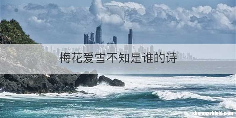 梅花爱雪不知是谁的诗