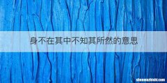 身不在其中不知其所然的意思