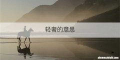 轻奢的意思