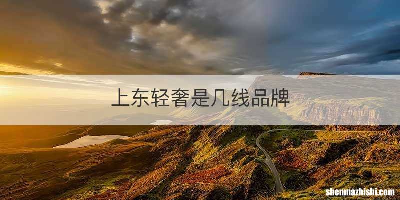 上东轻奢是几线品牌
