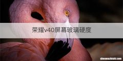 荣耀v40屏幕玻璃硬度