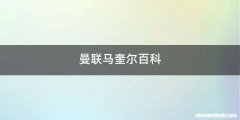 曼联马奎尔百科