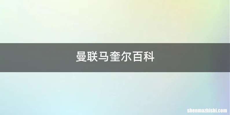 曼联马奎尔百科