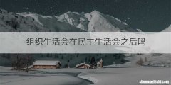 组织生活会在民主生活会之后吗
