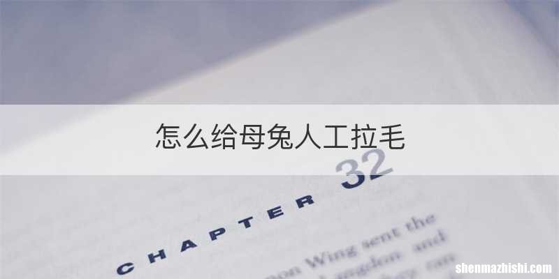 怎么给母兔人工拉毛