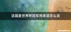法国是世界杯冠军用英语怎么说