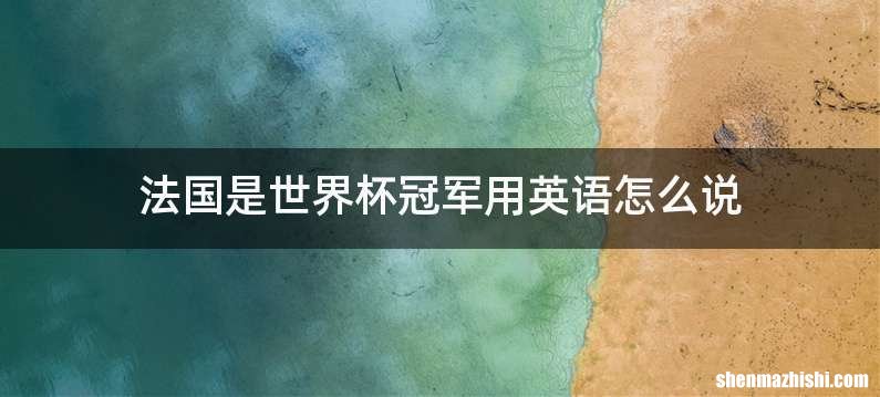 法国是世界杯冠军用英语怎么说