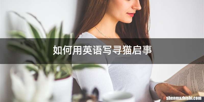 如何用英语写寻猫启事