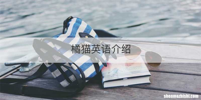 橘猫英语介绍