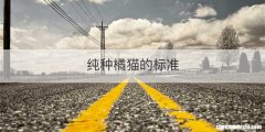 纯种橘猫的标准