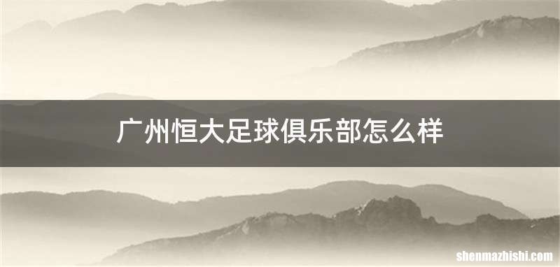 广州恒大足球俱乐部怎么样