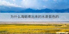 为什么海蛎煮出来的水是紫色的