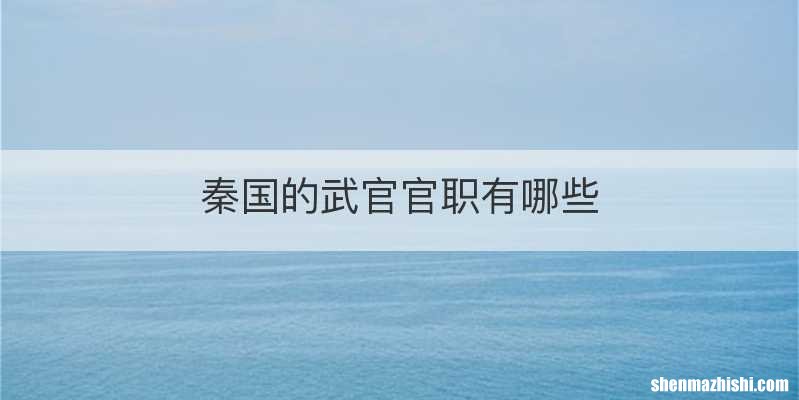 秦国的武官官职有哪些
