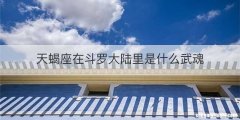 天蝎座在斗罗大陆里是什么武魂