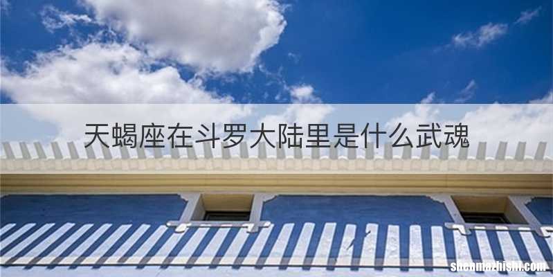 天蝎座在斗罗大陆里是什么武魂