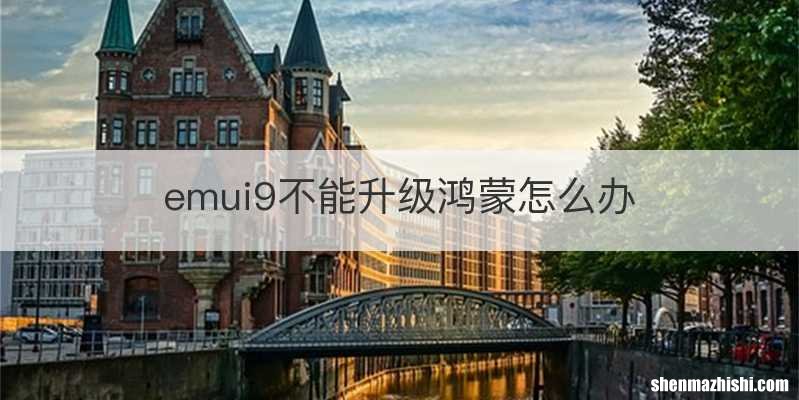 emui9不能升级鸿蒙怎么办