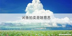 闲鱼拍卖是啥意思