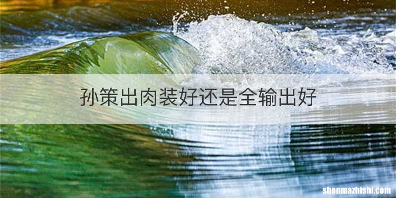 孙策出肉装好还是全输出好