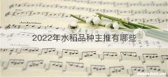 2022年水稻品种主推有哪些