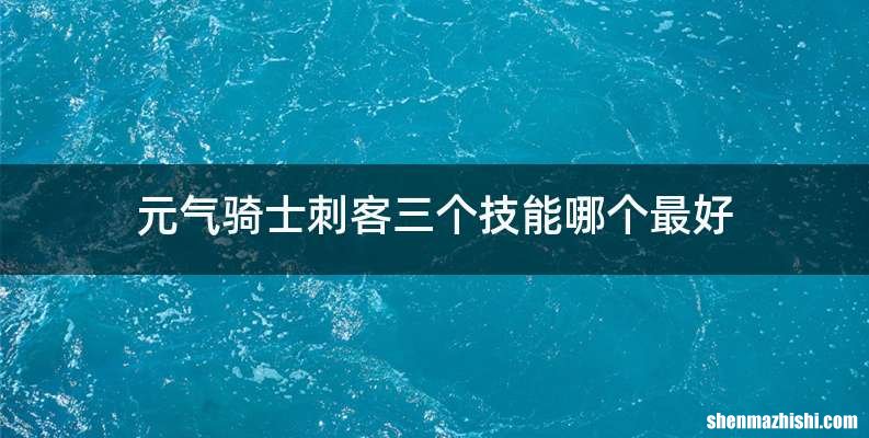元气骑士刺客三个技能哪个最好
