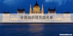 非盟组织成员国名单