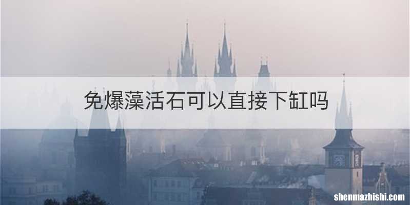 免爆藻活石可以直接下缸吗