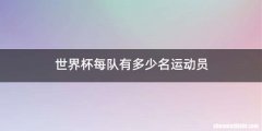 世界杯每队有多少名运动员
