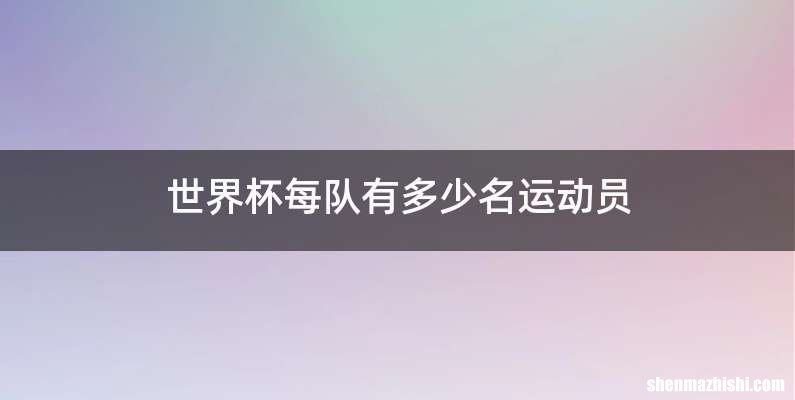 世界杯每队有多少名运动员
