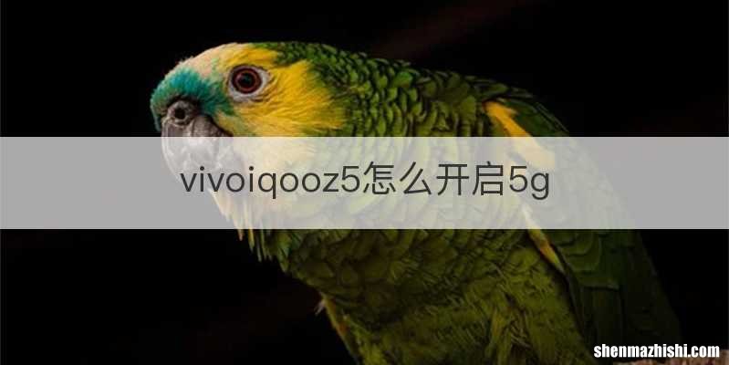 vivoiqooz5怎么开启5g