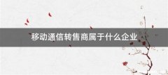 移动通信转售商属于什么企业